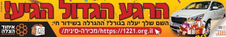 מכירה סינית