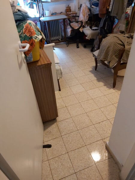 יחיאל גורפיין