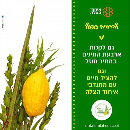 פעילות איחוד הצלה